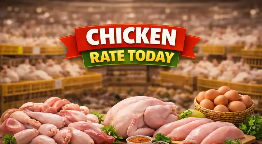 Chicken Rate Today Lahore